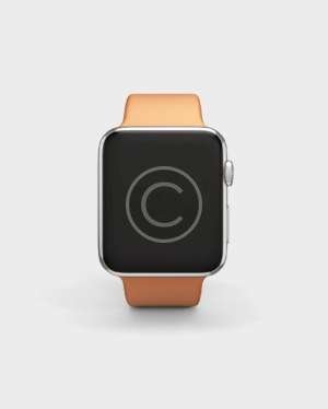 Personal Smart Watch